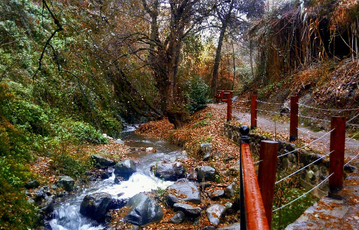 Klarios river Kakopetria